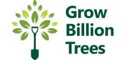 Glow billion tree